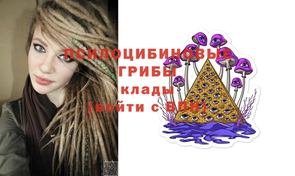 Альфа ПВП Алзамай