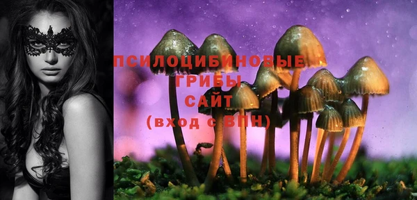 Альфа ПВП Алзамай