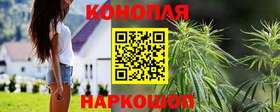 ПСИЛОЦИБИНОВЫЕ ГРИБЫ Новокубанск