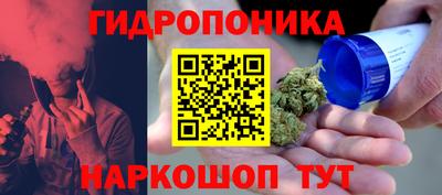 спиды Новозыбков