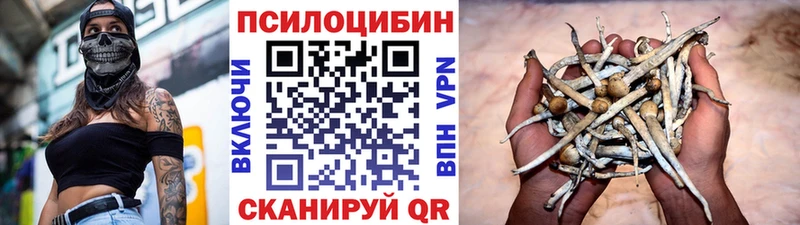 Галлюциногенные грибы Psilocybe  Якутск 