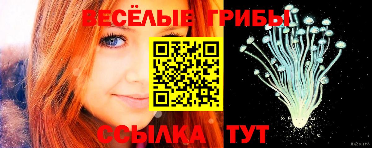 Псилоцибиновые грибы Magic Shrooms Якутск