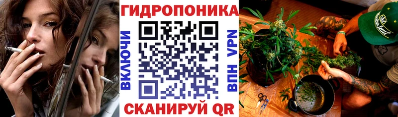 Бошки Шишки тримм  Якутск 
